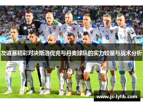 友谊赛精彩对决斯洛伐克与丹麦球队的实力较量与战术分析