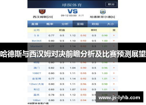 哈德斯与西汉姆对决前瞻分析及比赛预测展望