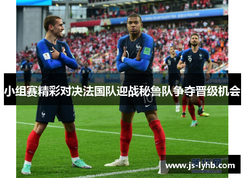 小组赛精彩对决法国队迎战秘鲁队争夺晋级机会